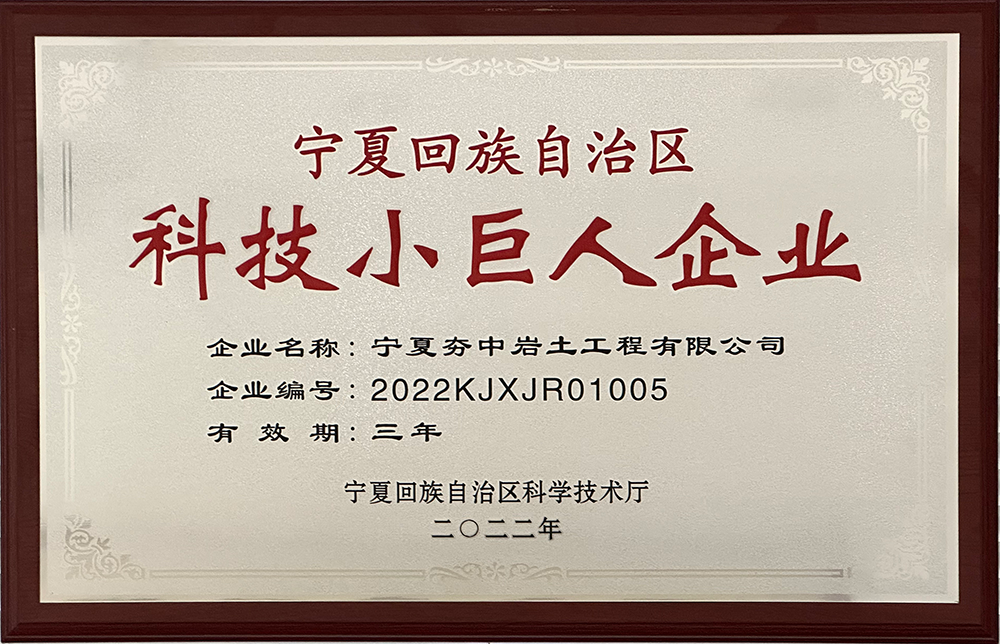 5宁夏回族自治区科技小巨人企业.png